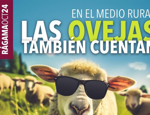 «En el mundo rural, las ovejas también cuentan», un encuentro que busca poner de manifiesto la importancia del pastor y su rebaño